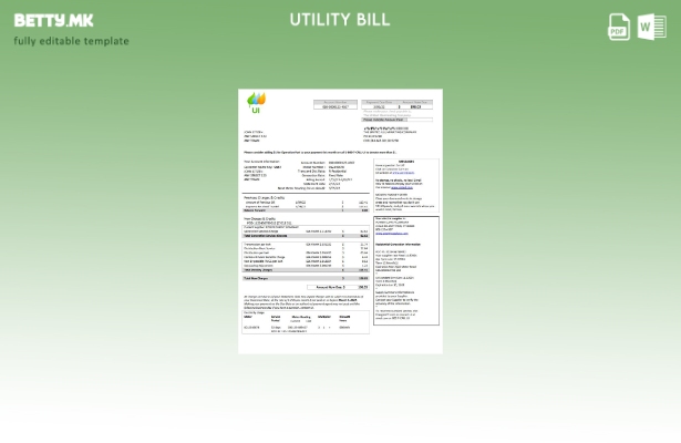 модерен стил САД Масачусетс Chelsea UI Шаблон за комунални сметки на United Illu